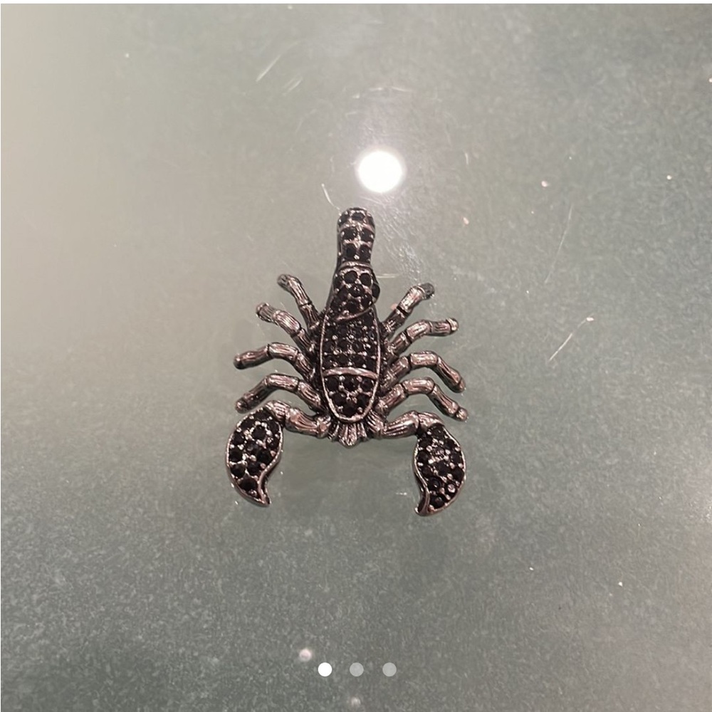 Scorpion - Picture 1 of 3